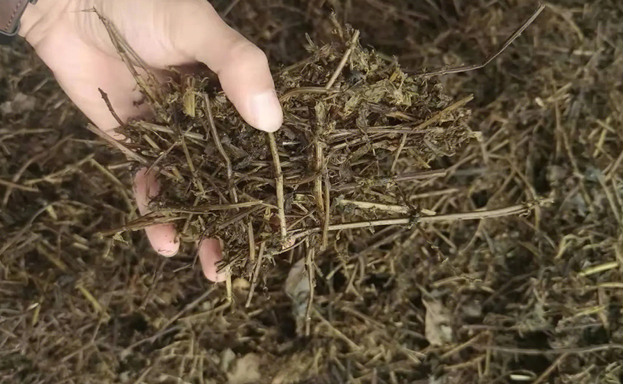 探秘正達(dá)環(huán)保中藥渣脫水機(jī)：如何讓中藥渣華麗轉(zhuǎn)身